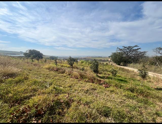 200,000M² VACANT LAND FOR SALE IN FAIRVIEW ESTATES